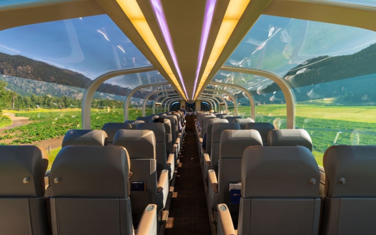 Inside a train car with curved windows reaching the ceiling, purple and yellow lights running down the length of the train, and rows of grey seats.