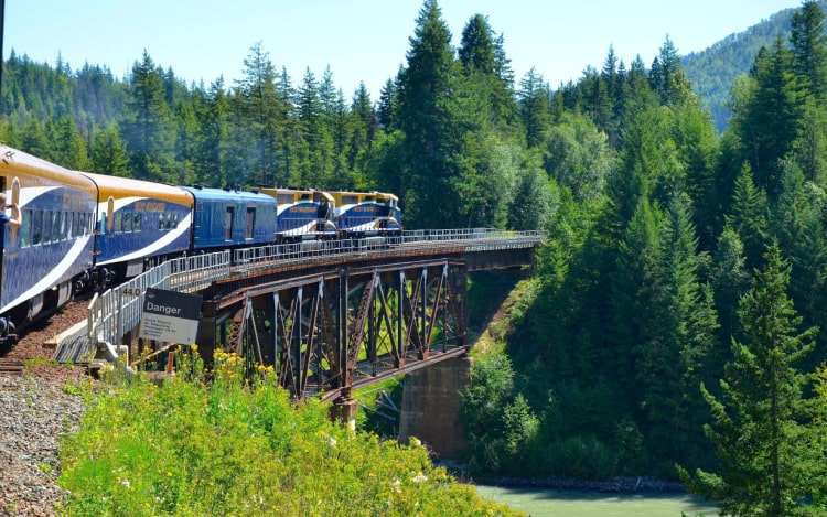 A blue train travelling over tracks suspended on a bridge with large green trees ahead.
