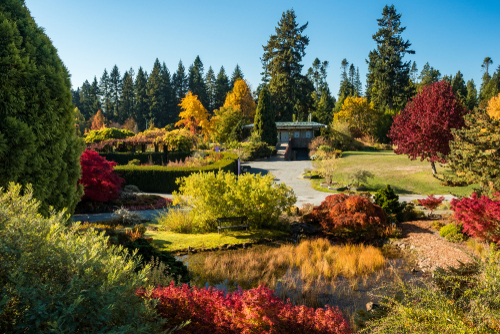 A view of a lush botanical garden showcasing trees of red, green, orange, and yellow hues.