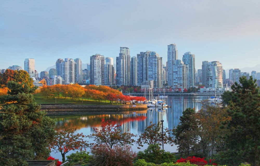 City skyline with river, parks and autumn trees in front