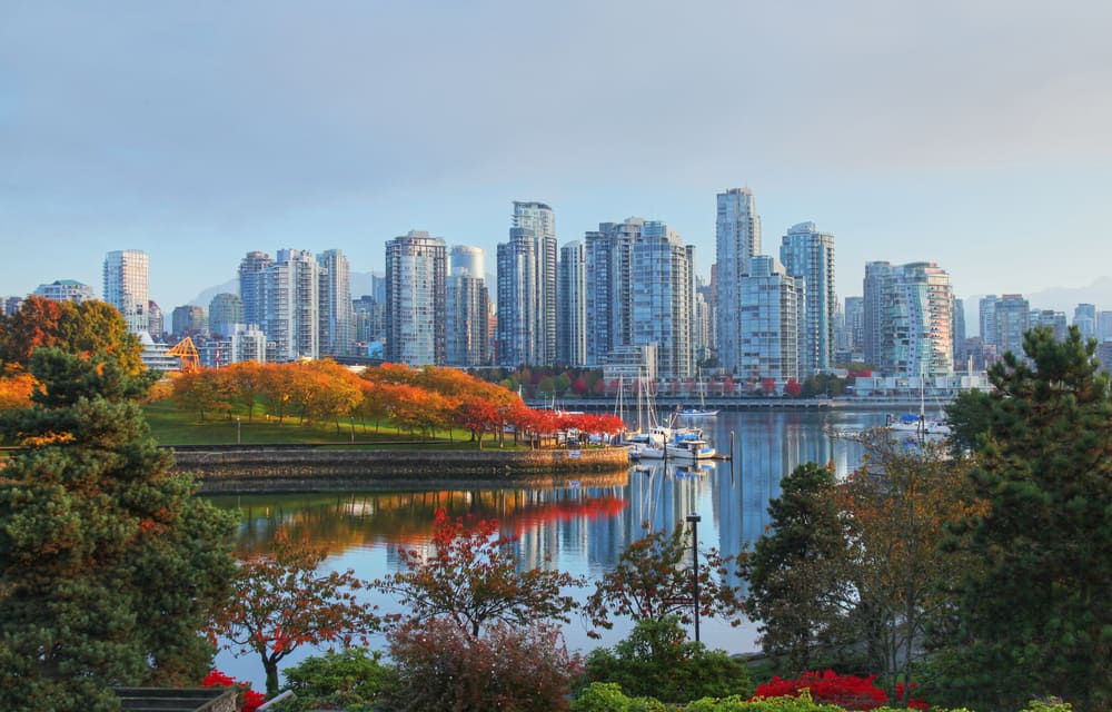 City skyline with river, park and trees in the forefront