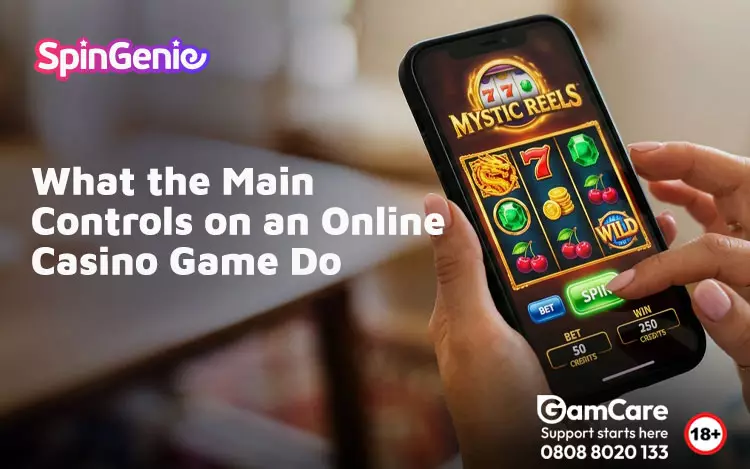 What-the-Main-Controls-on-an-Online-Casino-Game-Do