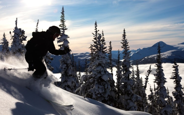 A skier on snowy slopes with snowcapped trees to the side of him and a clear blue sky above.