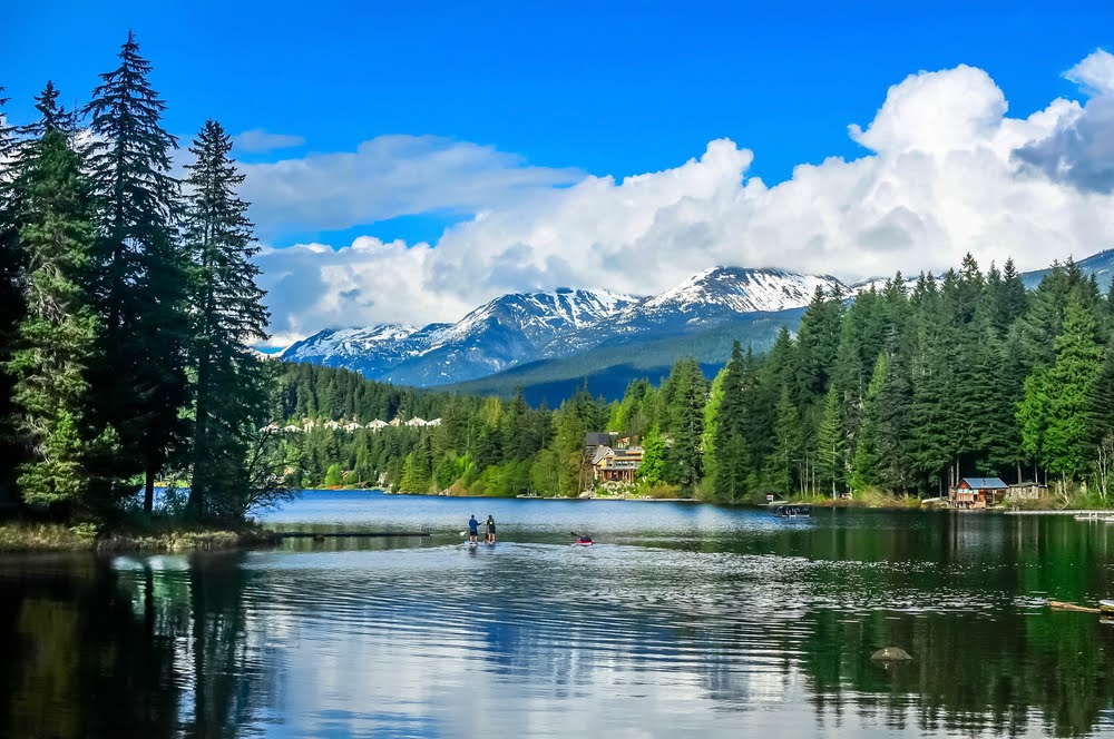 People paddleboarding on Alta Lake with trees and snowy mountains in the background