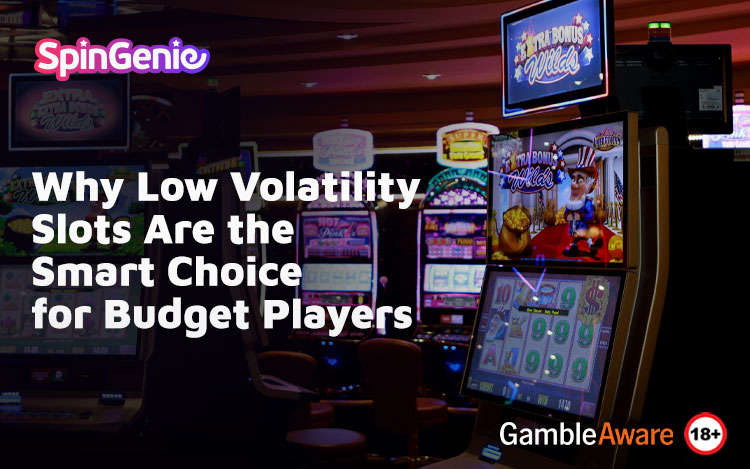 Why-Low-Volatility-Slots-Are-the-Smart-Choice-for-Budget-Players