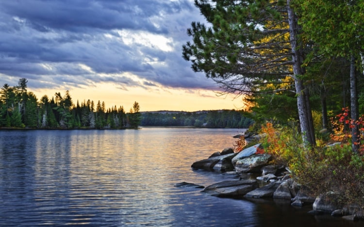 A view of Lake Ontario, the sky and water both shades of blue and yellow and trees on the shoreline.