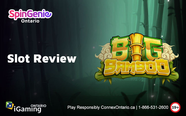 Big Bamboo Slot Review