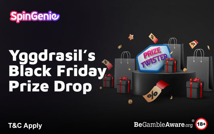 Black Friday Prize Drop Promo