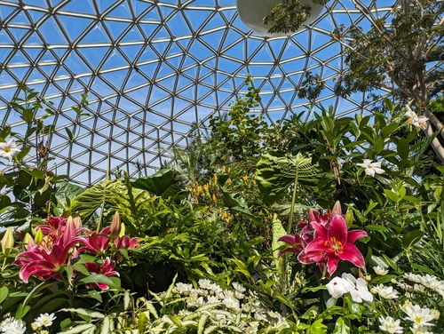 A view of a contained botanical garden showcasing tropical, colourful flowers. The roof of the garden is glass.