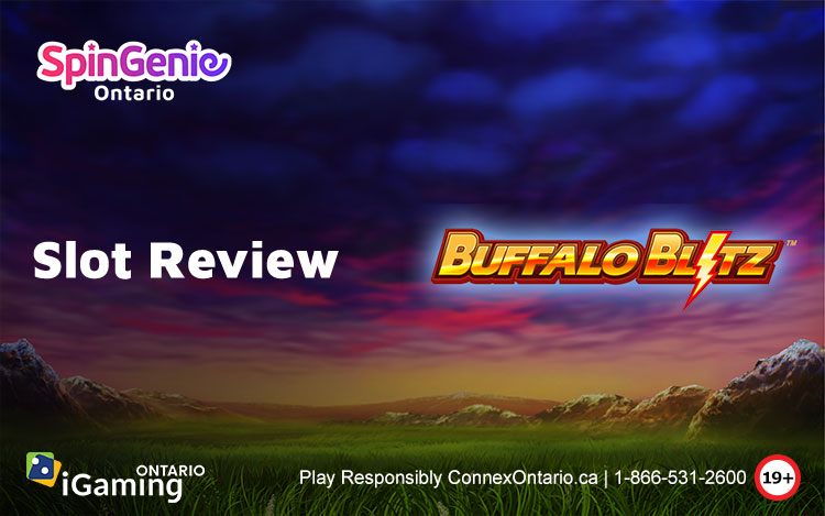 Buffalo Blitz Slot Review