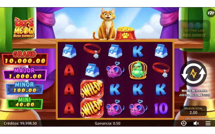 Cats Meow Rush Express Slot Online