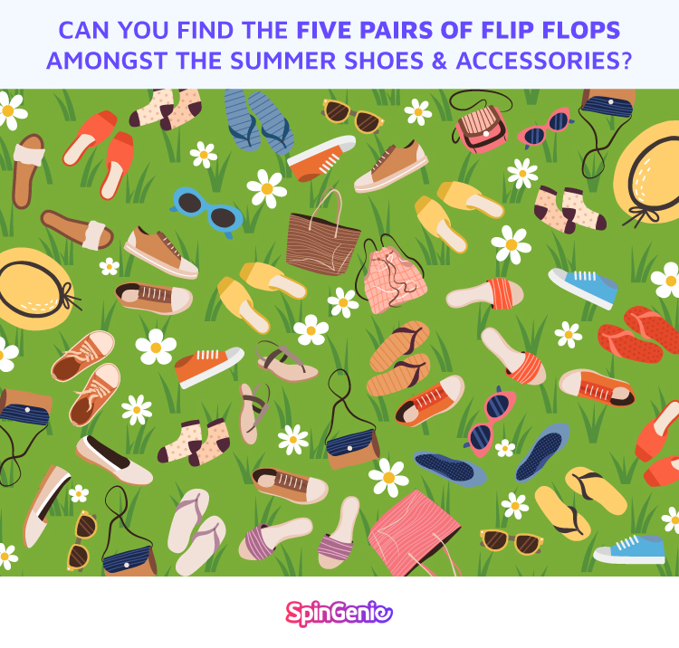 Flip Flops Brainteaser
