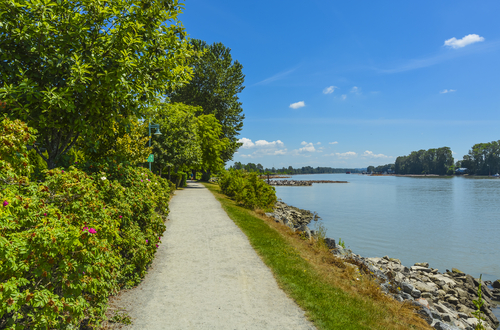 A view of a dirt path running alongside a large, blue lake. On the other side, trees and flowers can be seen thriving.