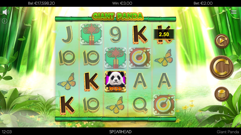 giant-panda-slot-features.jpg