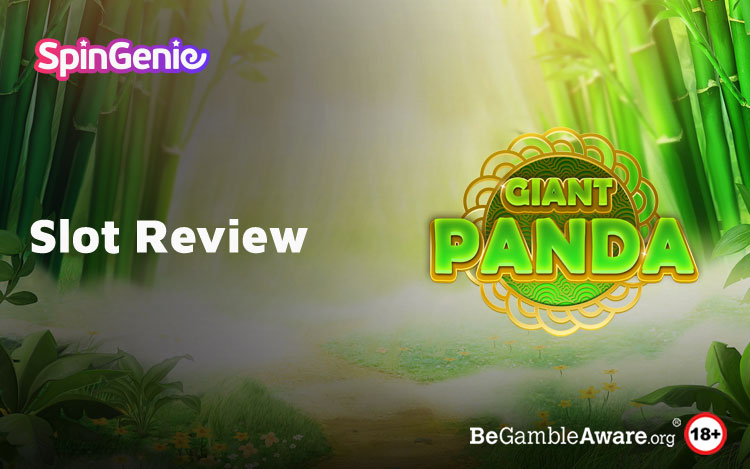 Giant Panda Slot Review 