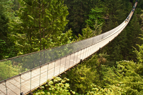 A shot of a suspended bridge over a bright green forest in Vancouver. Walkers can be seen walking the bridge in the distance.