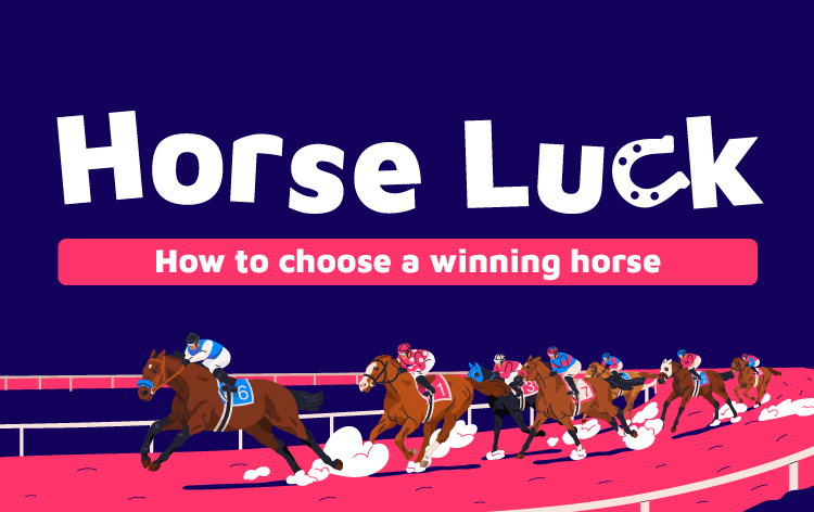 Horse Luck How To Choose A Winning Horse