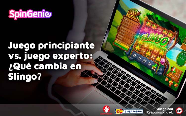 Juego Principiante vs Juego Experto Que Cambia en Slingo