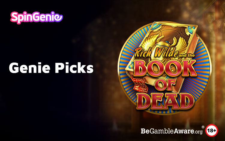 Book of Dead Slot Review