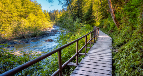 A view of a scenic trail in Lynn Canyon Park. On the right side, there is a wooden bridge hugging a mossy hill. To the left side, you can see a flowing shallow stream.