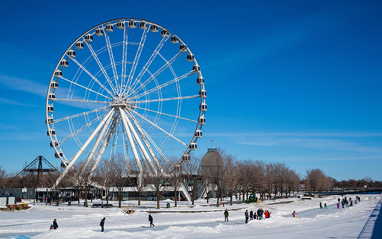 Montreal Winter