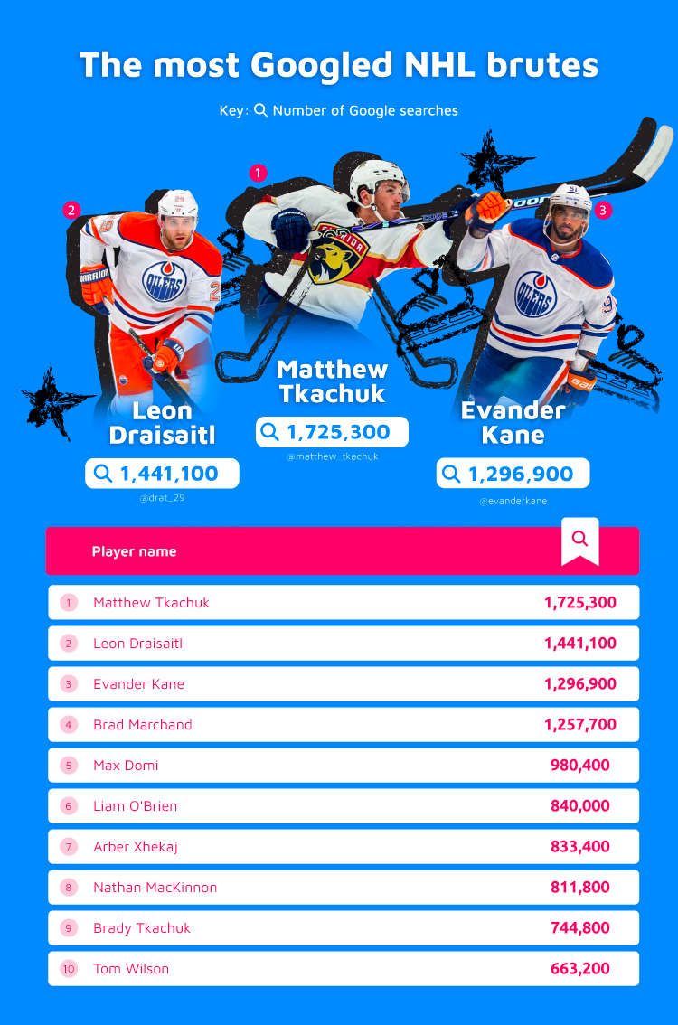 Most Googled NHL Brutes