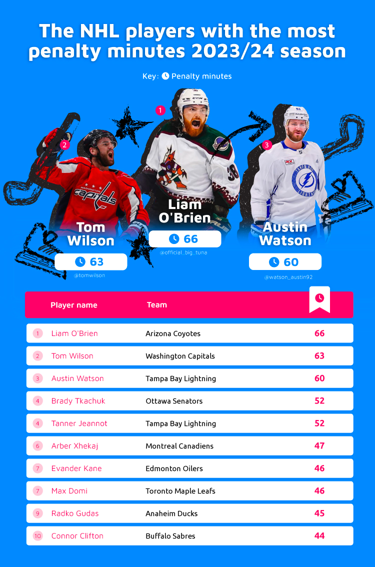 Most Penalty Minutes NHL Players