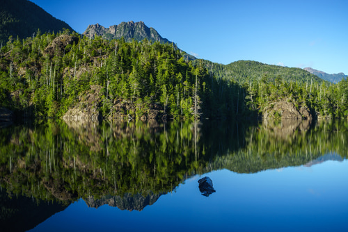 A view of trees and mountains from a lake in British Columbia. The water is very clear and reflects the mountains.