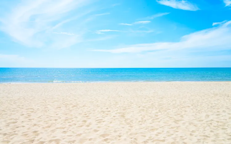 Playa