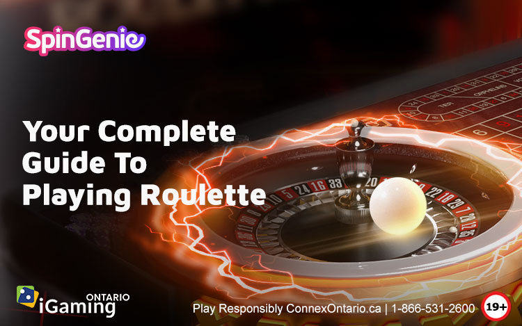 Roulette Guide