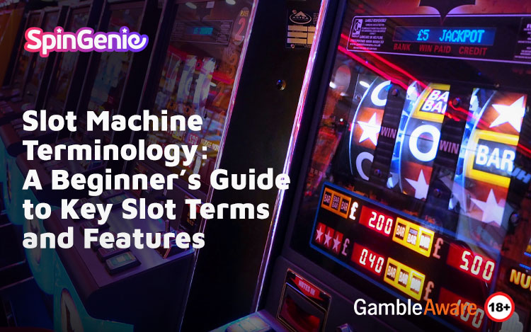 Slot Machine Terminology: A Beginner’s Guide to Key Slot Terms and Features