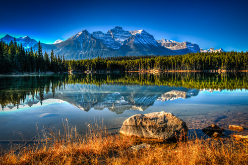 A view of a lake in the Icefields Parkway. The reflection of the mountain and trees is shining from the deep blue surface of the lake.