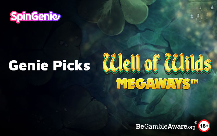 Well Of Wilds MegaWays Slot Review