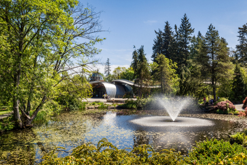 A view of a pond with a water fountain at VanDusen Botanical Garden. It is a sunny day, and there are lush green trees surrounding the pond.