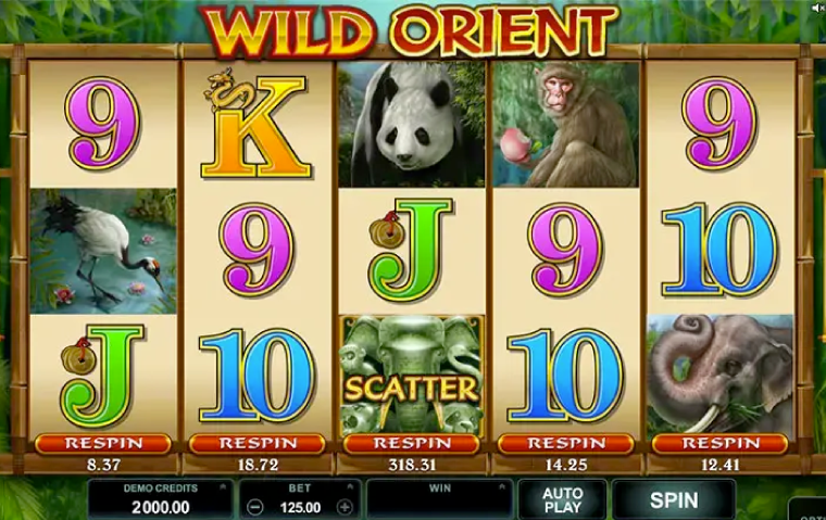 wild-orient-slot-features.png