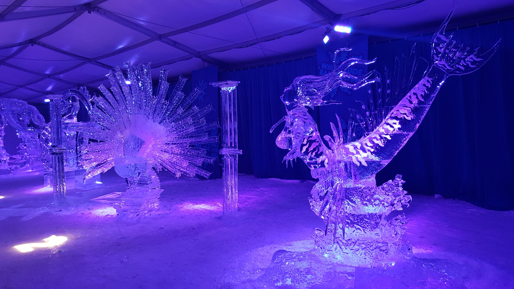 Ice sculptures of a mermaid and peacock under blue-purple lighting.