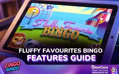 Fluffy Favourites Bingo: How Do the Game Features Work?