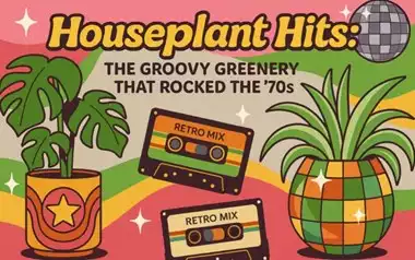 Houseplant Hits