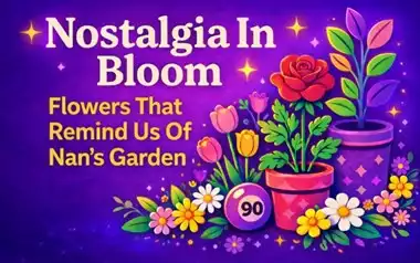Nostalgia in Bloom