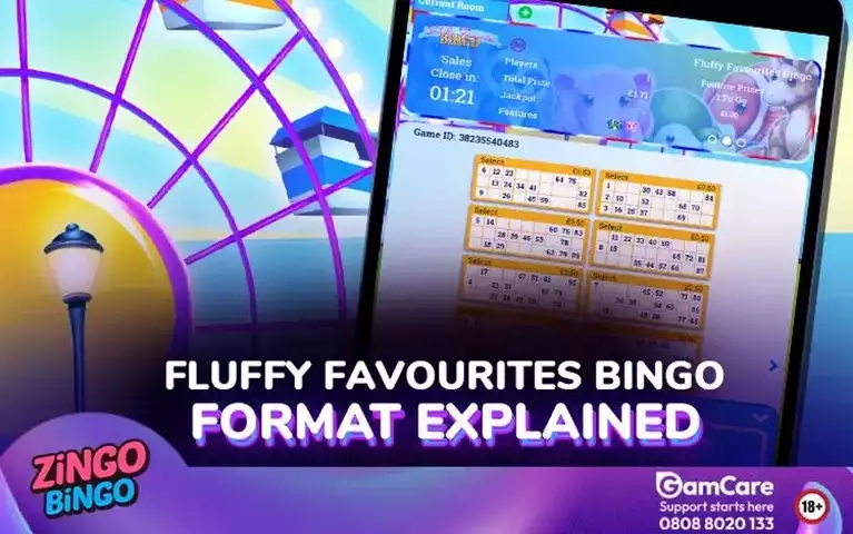 Fluffy Favourites Bingo: What Makes Its Bingo Format Different?
