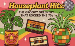 Houseplant Hits