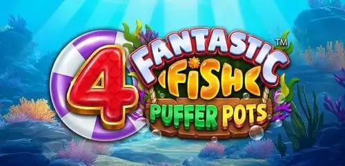 4 Fantastic Fish Puffer Pots