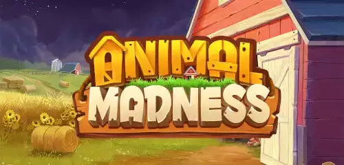 Animal Madness
