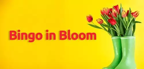 Bingo In Bloom