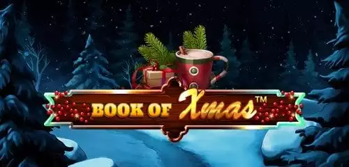 Book Of Xmas