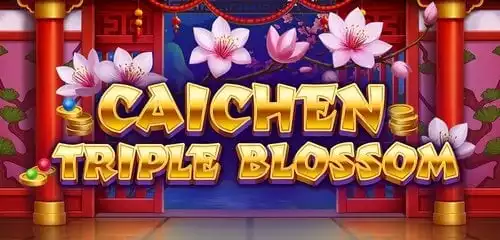 Caichen Triple Blossom