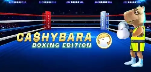 Cashybara Boxing Edition