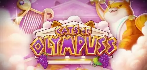 Cats of Olympuss