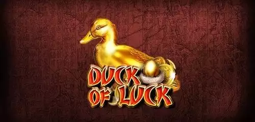Duck Of Luck