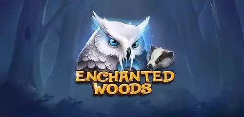 Enchanted Woods
